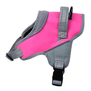 Geschirr Onyx, reflektierend, pink
