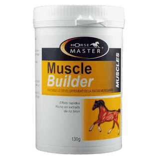 Muscle Builder