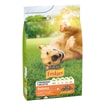Dog Adult Balance Chicken, Beef, and Vegetables
