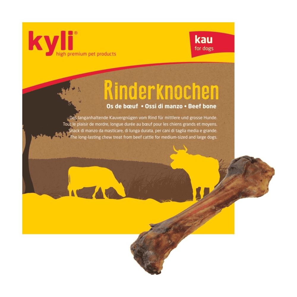 Rinderknochen