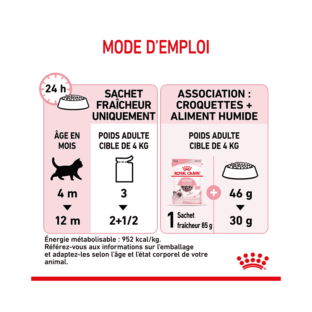 Kitten en sauce - sachet