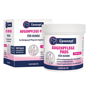 Compresses de soin oculaire pour chiens