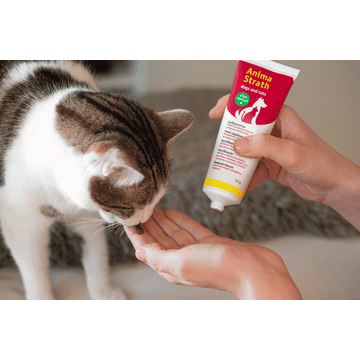 Anima Strath Paste