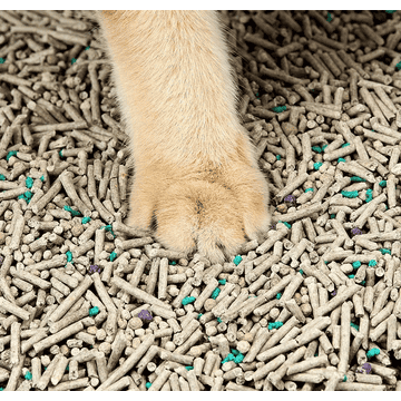 5in1 Mixed Cat Litter 4-Pack