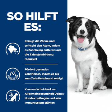 Canine t/d Dental Care