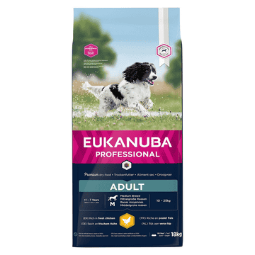 Active Adult Medium Breed