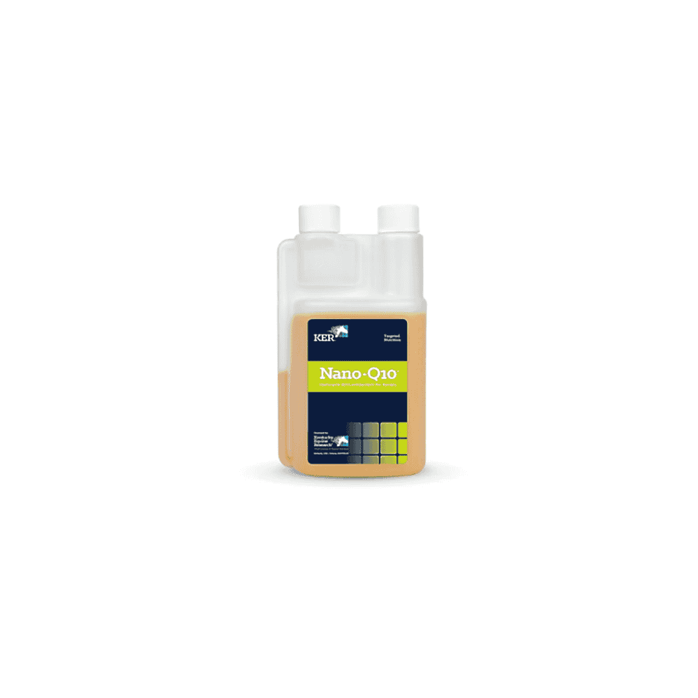 Nano-Q10