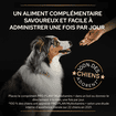 Dog Multivitamins +