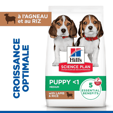 Puppy Medium Breed Lamb & Rice