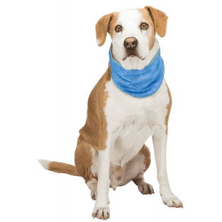 Kühlbandana PVA