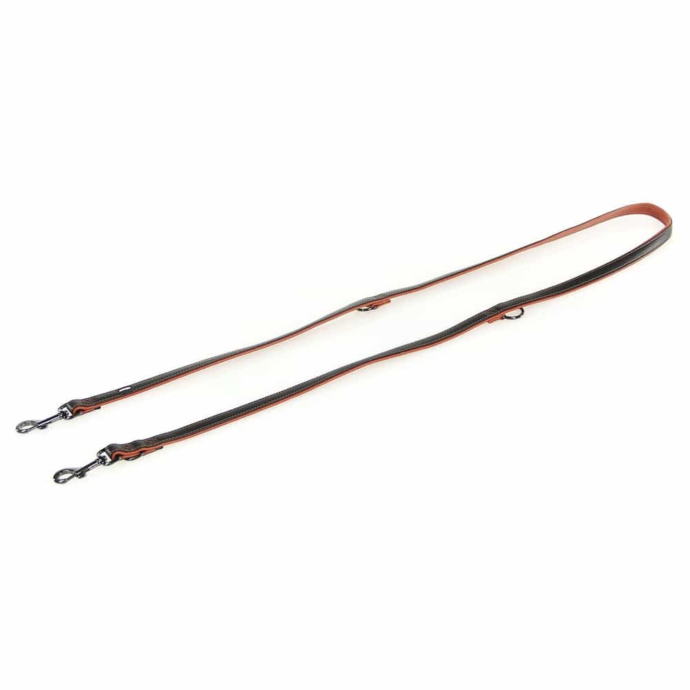 laisse Dover