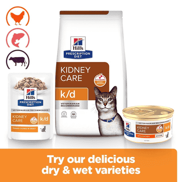Feline k/d Kidney Care Chicken Mousse