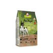 Dog - Mini Royal Lamb