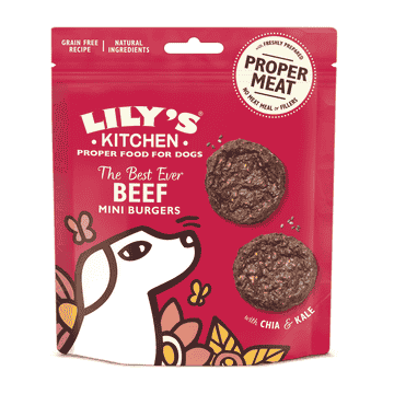 The Best Ever Mini Burgers Boeuf