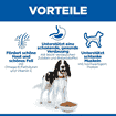 Canine Adult Medium Breed Chicken