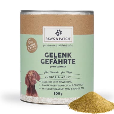 Gelenk Gefährte Junior & Adult