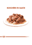 Ageing 12+ en sauce - sachet