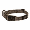 Dog collar Alpinist gold