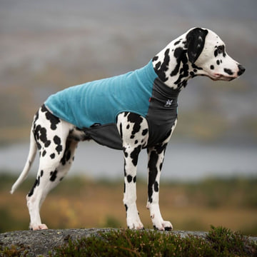 Pull en laine polaire Trail Quest Teal