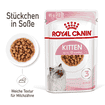 Kitten in  Sauce - Frischebeutel