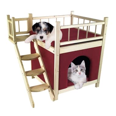 Affût perché pour chiens & chats Asa