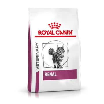 Renal Cat