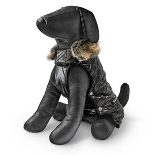 Manteau pour chien Noa Noa
