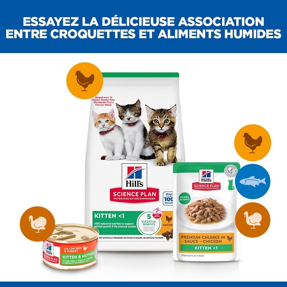 Kitten Chicken - Sachet