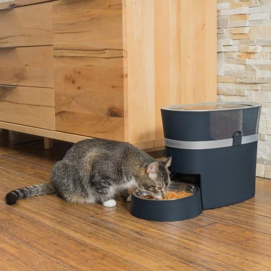 Smart Feed Alimentateur automatique WIFI