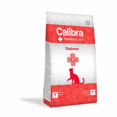 Feline Diabetes