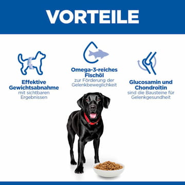 Canine Perfect Weight + Active Mobility Large Breed