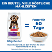 Canine Adult Sensitive Stomach & Skin Small & Mini Breed