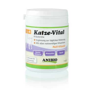 Katze-Vital