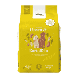 Dog Linsen & Kartoffel Vegan