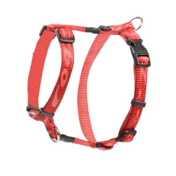 Alpinist XL dog harness
