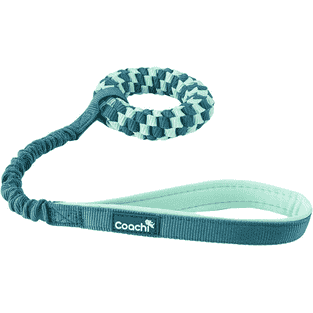 Puppy Tuggi Helix