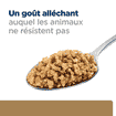 Canine j/d Mobility - en boîte
