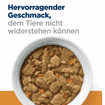 Canine k/d + j/d Kidney + Mobility Chicken Stew - Dose