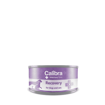 Canine/Feline Recovery