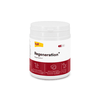 Regeneration Plus