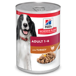 Canine Adult Turkey - Boîte
