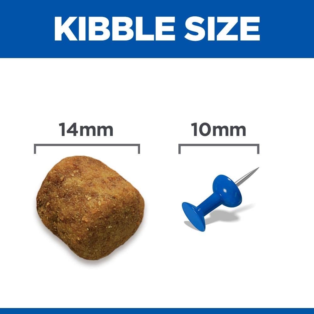 Canine Adult Large Breed Lamb & Rice 12 + 2 kg Bonus Bag