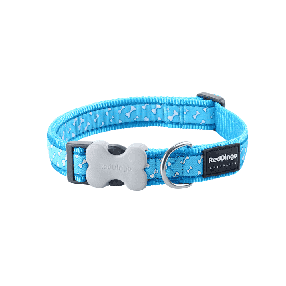 Collier Design Flying Bones Turquoise