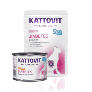 Diabetes Feline Diet