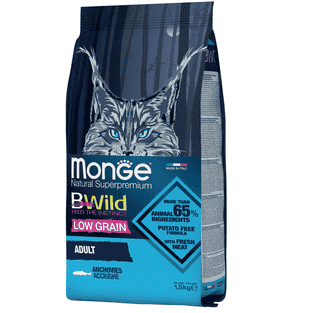 Cat Anchovies