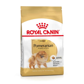 Pomeranian