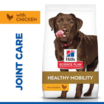 Canine Adult Healthy Mobility Large Breed