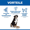 Canine Adult Large Breed Chicken