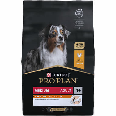 MEDIUM ADULT Everyday Nutrition