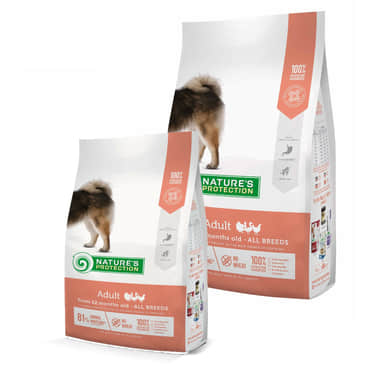 Adult All Breed Dogs Poultry